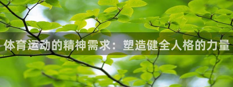 球速体育