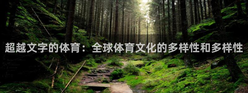 球速体育