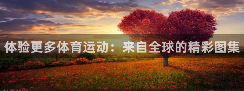 球速体育