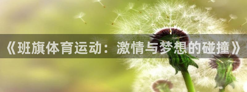 球速体育