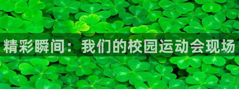 球速体育