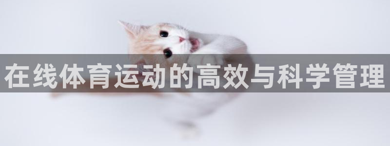 球速体育