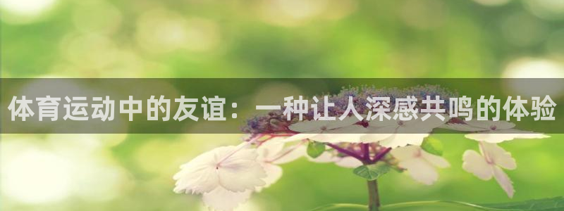 球速体育