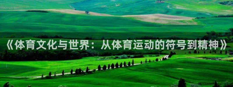 球速体育