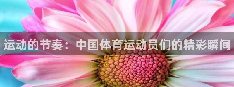球速体育
