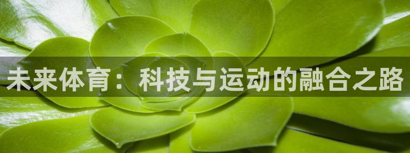 球速体育