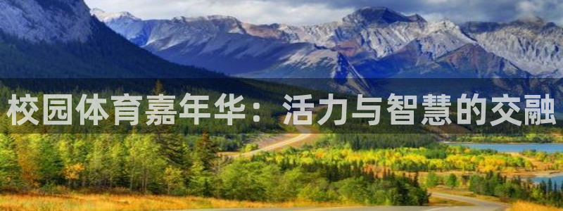 球速体育