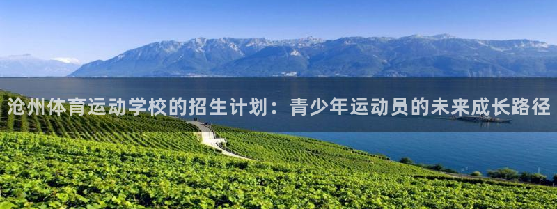 球速体育